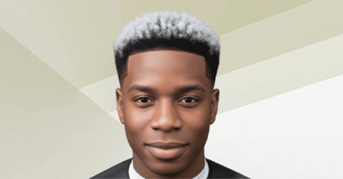 Frosted Tips Haircut